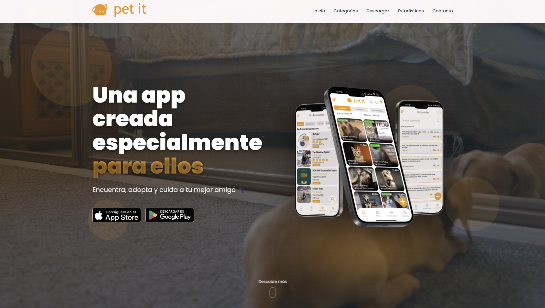 Petit App Web
